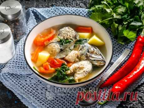 Уха из скумбрии — рецепт с фото Такой рыбный суп из скумбрии будет актуальным к обеду, причем взрослым при подаче можно добавить в тарелку чеснок, перец чили или водку.