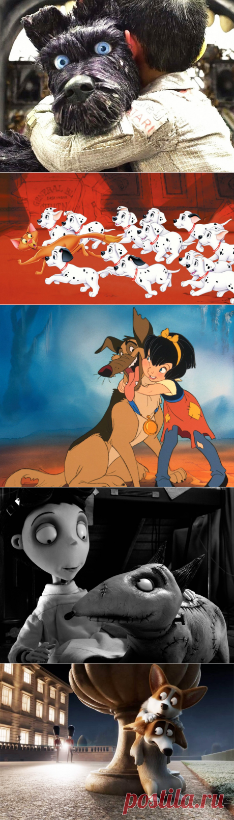 Лучшие мультфильмы с собаками | Зооляндия
