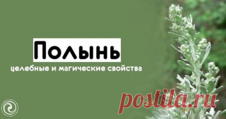 *Полынь - целебные и магические свойства*
===================================
С древних времен колдуны, ведуны, шаманы, применяли полынь при изготовлении зелий, амулетов и оберегов.
полынь отгоняет злых духов
оберегает людей от сглаза, порчи, несчастий
способствует плодовитости
В древности жрицы богини плодородия и материнства Изиды носили венки из полыни, а её веточками украшали храм. Во многих религиях ароматный дым тлеющей полыни использовали при проведении культовых действий.
Для защиты д