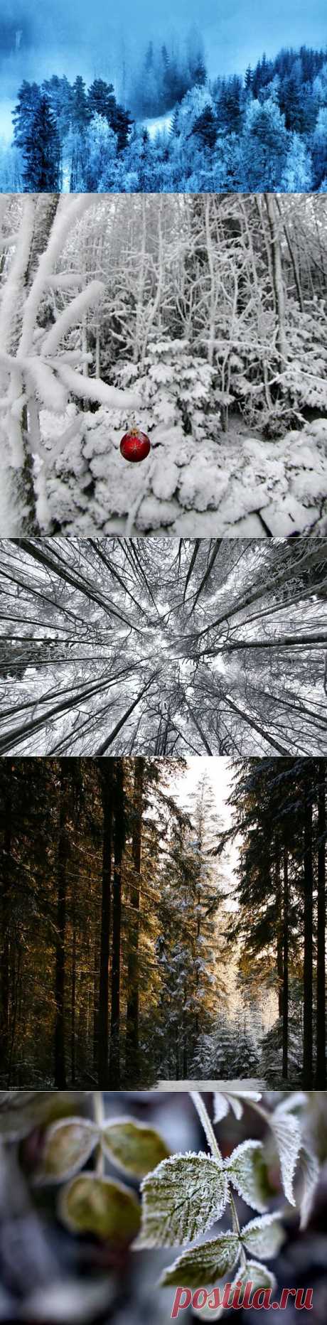(+1) тема - Фотограф Kari Liimatainen (Финляндия). Зимняя сказка. | Искусство