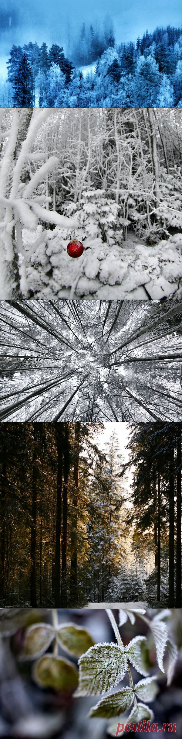 (+1) тема - Фотограф Kari Liimatainen (Финляндия). Зимняя сказка. | Искусство