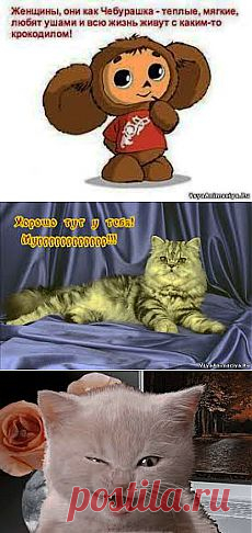 картинки разные