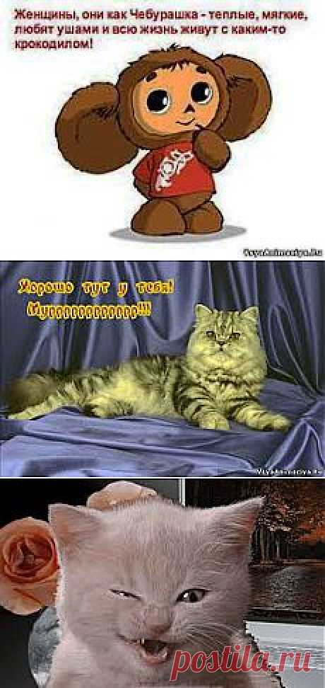 картинки разные