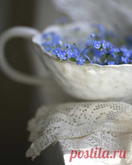 Стихи исчезают, когда их разъясняют.. Фэн Цзицай #cafeверлибр #цитаты | Интересный контент в группе cafe - "ВЕРЛИБР" Стихи исчезают, когда их разъясняют..

Фэн Цзицай

#cafeверлибр #цитаты | Вступай в группу cafe - "ВЕРЛИБР" в Одноклассниках