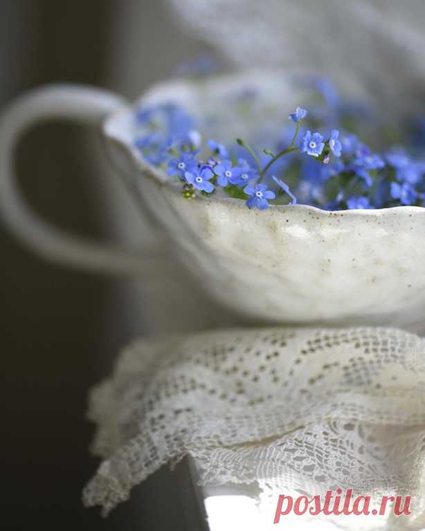 Стихи исчезают, когда их разъясняют.. Фэн Цзицай #cafeверлибр #цитаты | Интересный контент в группе cafe - 