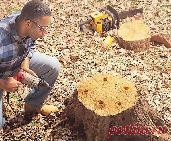 Легкая корчевка пней и борьба с сорняками на участке