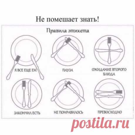 Правила этикета в ресторане. Возьмите на заметку!