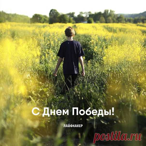 Желаем вам мирного неба над головой!