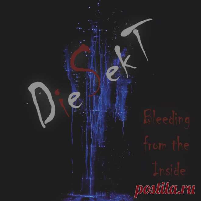 DieSekt - Bleeding from the Inside (EP) (2025) 320kbps / FLAC