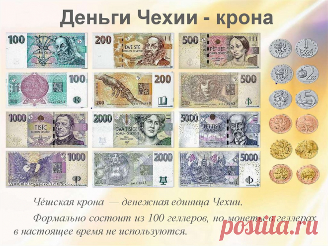 Деньги Мира Картинки Для Детей — Mixyfotos.ru