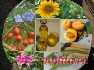 Базовые косметические масла. Таблица свойств и применения Базовые косметические масла, их свойства и применение. В таблице описаны, особенности, базовых растительных масел и способность к проводимости эфирных масел