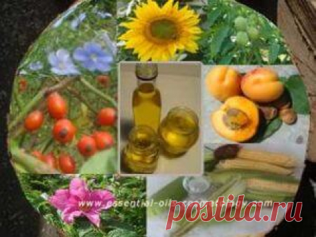 Базовые косметические масла. Таблица свойств и применения Базовые косметические масла, их свойства и применение. В таблице описаны, особенности, базовых растительных масел и способность к проводимости эфирных масел