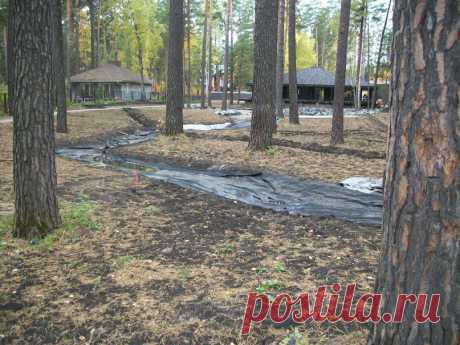 Синегорье(работа) | 125 фотографий