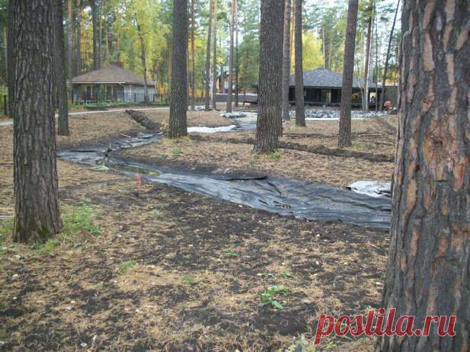 Синегорье(работа) | 125 фотографий