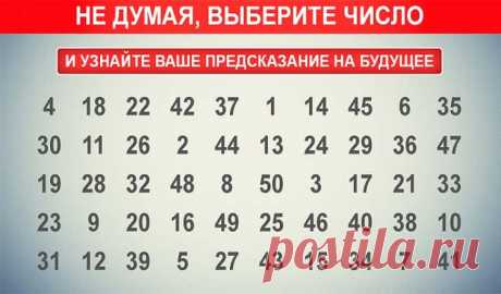 Предсказание будущего - это предсказание поставит все на свое место! - Ok'ейно.fun