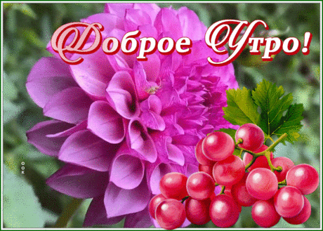 Доброе утро, радость моя.
Доброе утро, хорошего дня!
Пусть чашка кофе согреет тебя,
А солнце подарит свой лучик тепла.