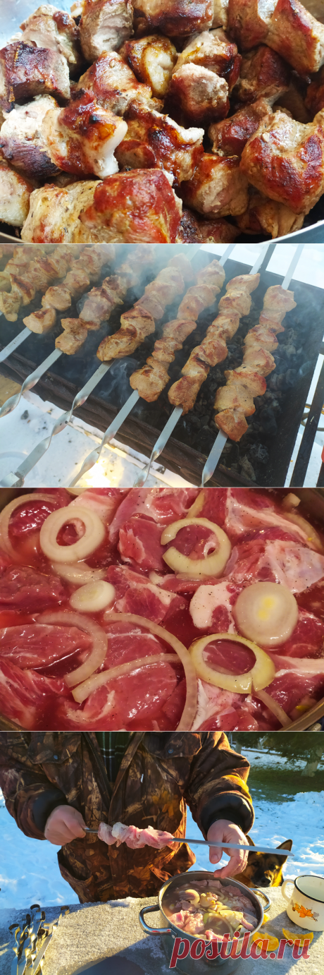 Шашлык из свинины с перцем, луком и лимоном жаренный на углях - пошаговый рецепт с фото