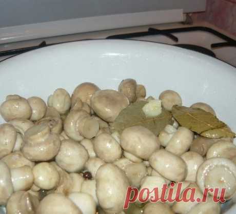 Маринуйте грибы сами