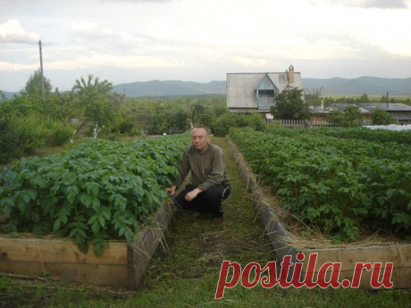 Удивительный огород Игоря Лядова