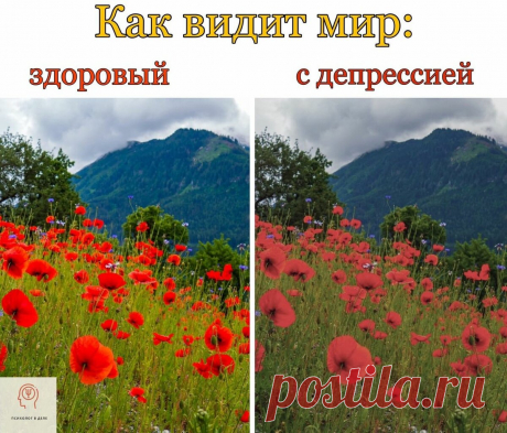 8 фактов из мира психологии, которые объясняют наше поведение | Психолог в деле | Яндекс Дзен