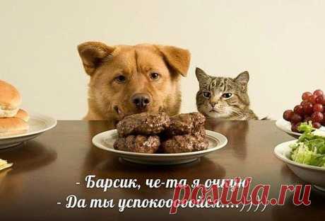 Мой Мир@Mail.Ru