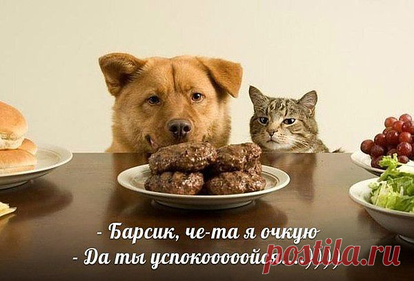 Мой Мир@Mail.Ru