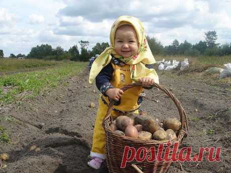 Помощница!