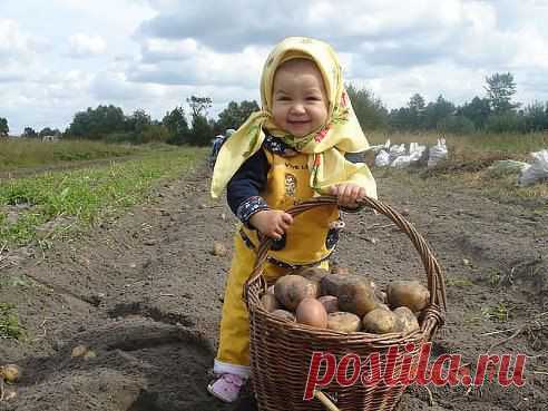 Помощница!