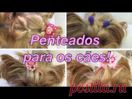 4 PENTEADOS FÁCEIS PARA CACHORRO!