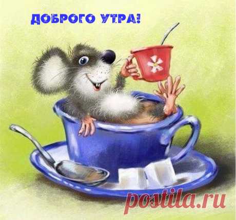 Открытка - Позитивного доброго утра!