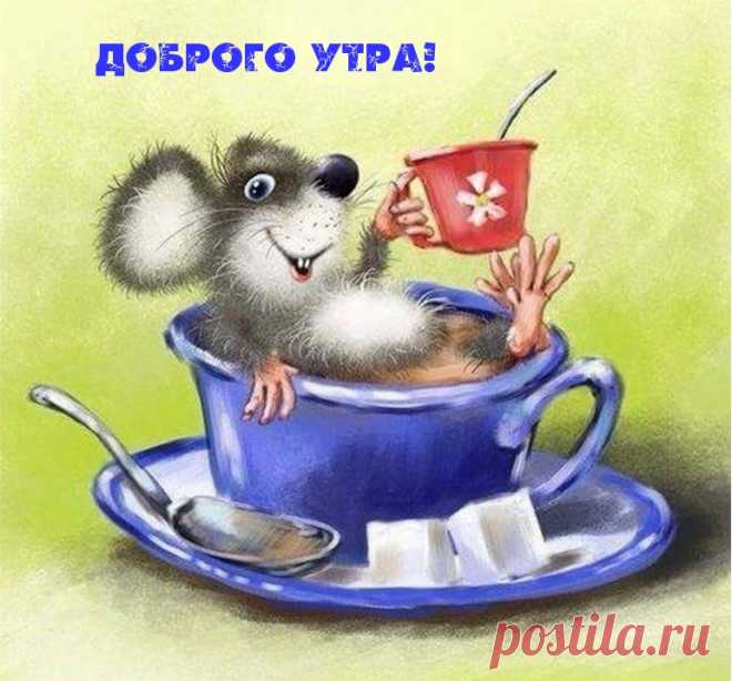 Открытка - Позитивного доброго утра!