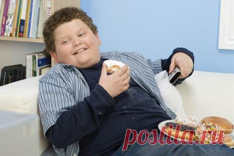 333 толстяка в одной спецшколе. Глава Российского клуба толстяков Сергей Назаров предложил открыть в Москве школы для детей с избыточным весом.