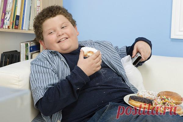 333 толстяка в одной спецшколе. Глава Российского клуба толстяков Сергей Назаров предложил открыть в Москве школы для детей с избыточным весом.