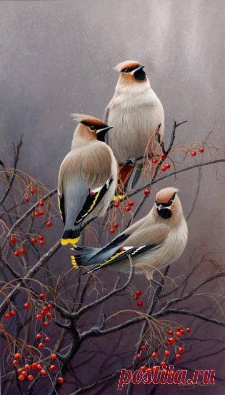 (107) Pinterest