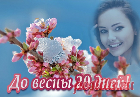 До весны осталось сколько дней картинки красивые и стихи ⋆ Картинки Открытки Праздники До весны осталось картинки красивые с надписями и стихами. Февраль последний зимний месяц и весну люди ждут с нетерпением.