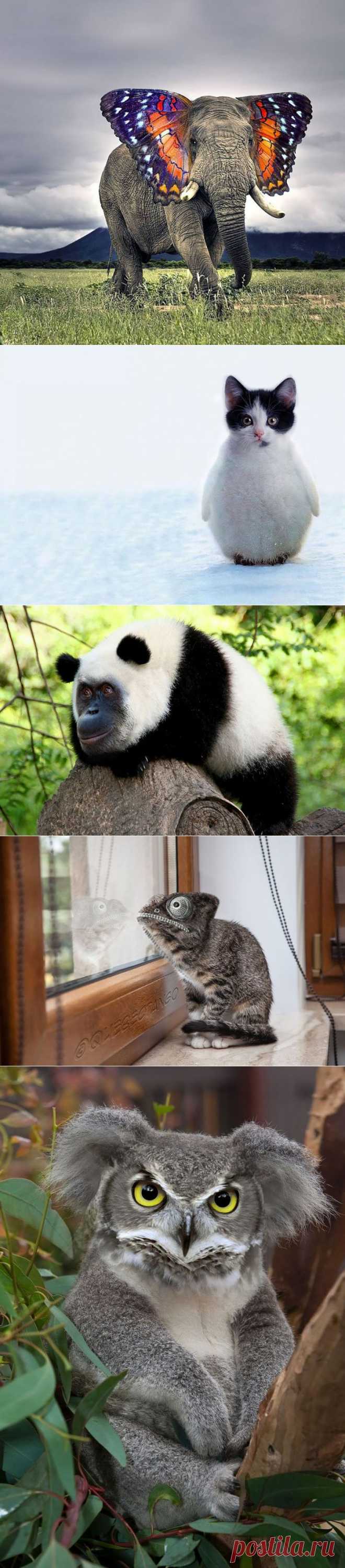 Чудеса фотогенетики