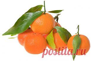 Новогодний фрукт: чем полезны мандарины для здоровья и фигуры.