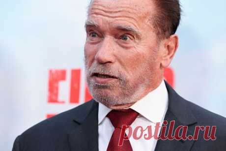 Шварценеггер рассказал о жестокости своего отца-нациста. 75-летний американский актер, бывший губернатор штата Калифорния Арнольд Шварценеггер рассказал о жестоком детстве из-за отца-нациста. По слова артиста, его родитель страдал от проблем с психикой, избивал мать, а также не давал своим детям есть, если те не выполняли требуемые им обязанности.