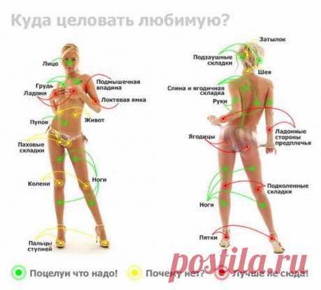 Женская красота