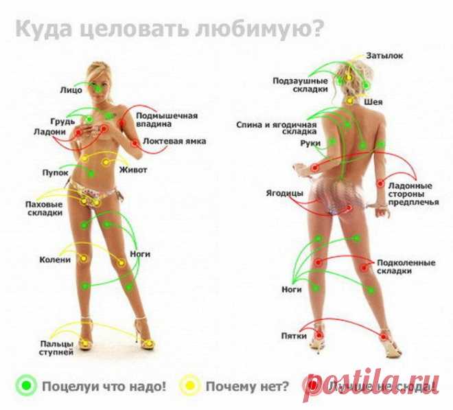 Женская красота