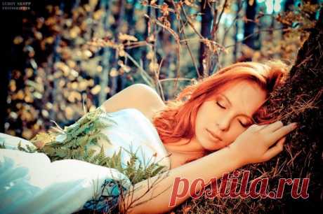 Ты спишь еще,а я тебя целую.. ~ Плэйкасты ~ Beesona.Ru