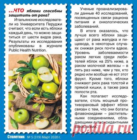Яблоки способны защитить от рака