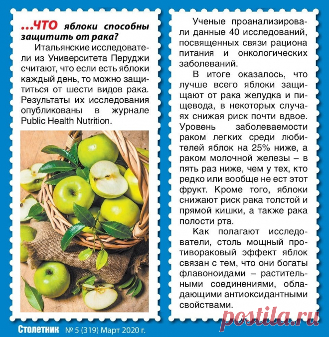 Яблоки способны защитить от рака
