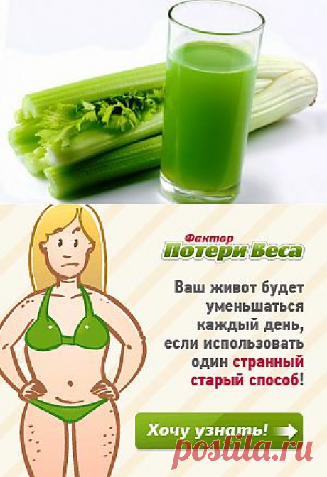 Сельдерей для похудения