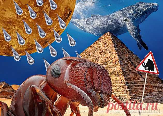 10 случайных фактов, которые не сразу укладываются в голове