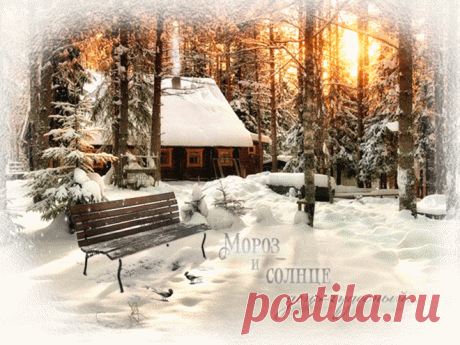 animated photo, gif анимация, instagram, mira, png, snow, winter, анимашка, гифка, день, надпись, открытка, пожелание, птички, фото