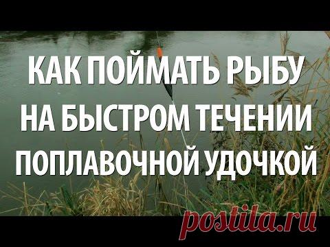 РЫБАЛКА на ПОПЛАВОК в ПРОВОДКУ на БЫСТРОМ ТЕЧЕНИИ