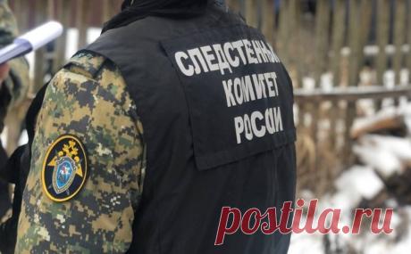 Нижегородский СК возобновил расследование пропажи девочки в 2013 году. Следственный комитет Нижегородской области возобновил расследование дела о пропаже девочки-подростка из рабочего поселка Гидроторф Балахнинского района в 2013 году, сообщает региональное управление ведомства.