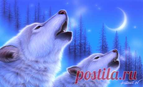 Восхитительные картины японского художника Kentaro Nishino