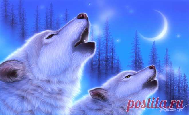 Восхитительные картины японского художника Kentaro Nishino